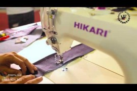 hikari_1.jpg